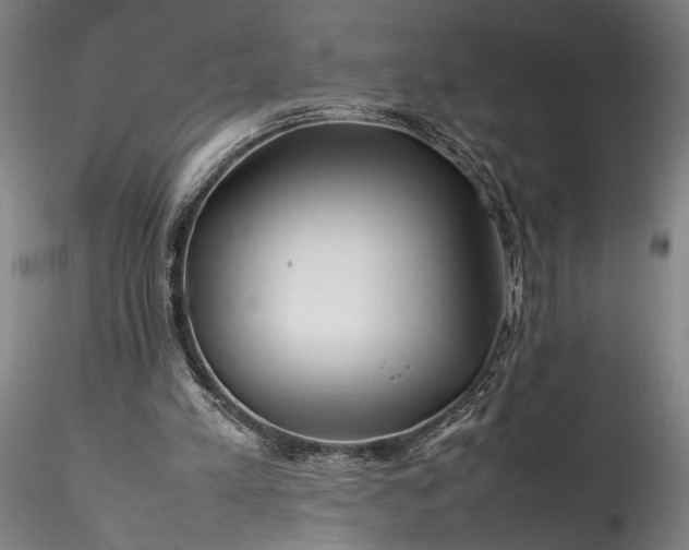 X0000115800197200911271258