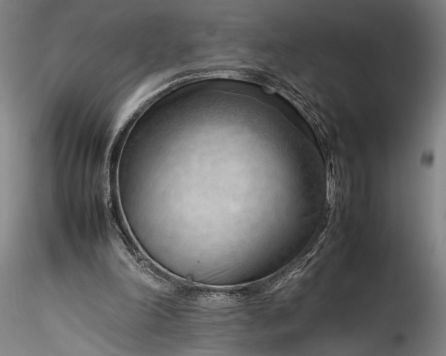 X0000115800198200911271258