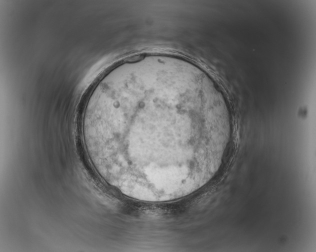 X0000115800199200911271258