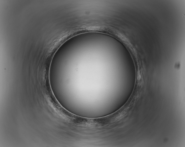 X0000115800201200911271258