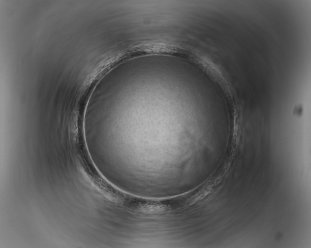 X0000115800202200911271258