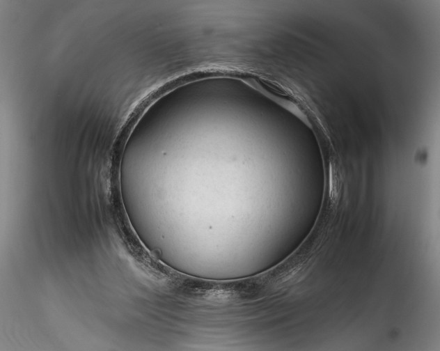 X0000115800204200911271258