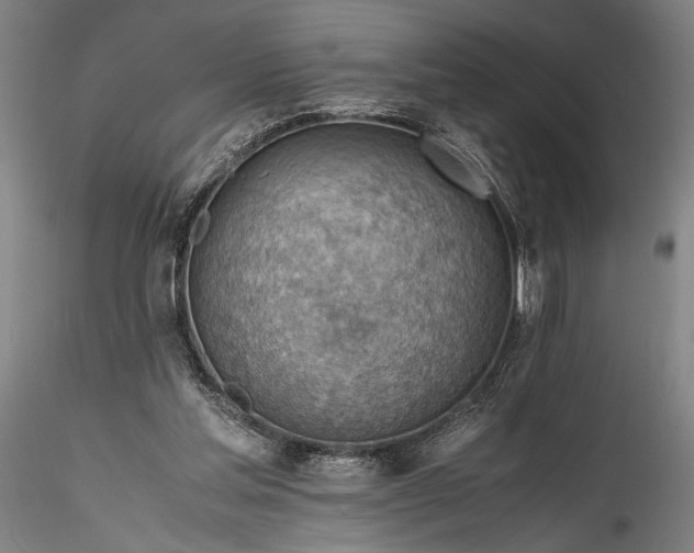 X0000115800205200911271258