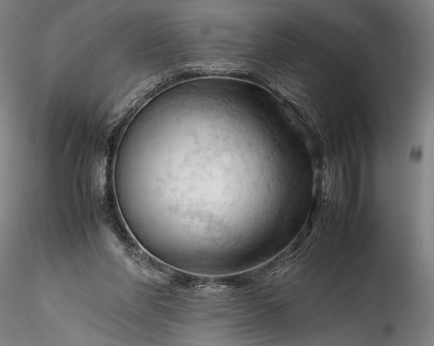 X0000115800206200911271258