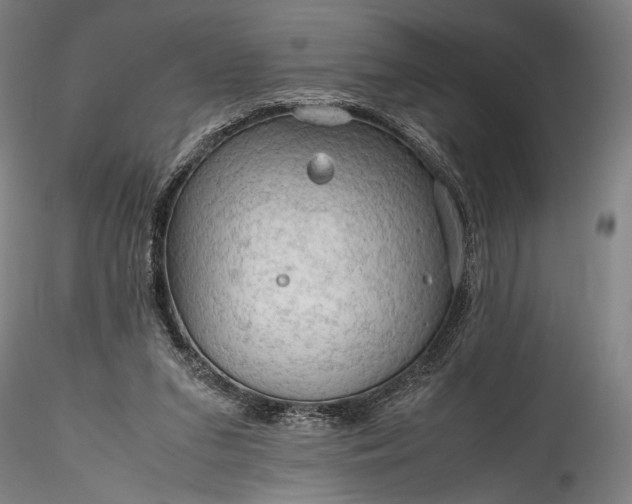 X0000115800207200911271258