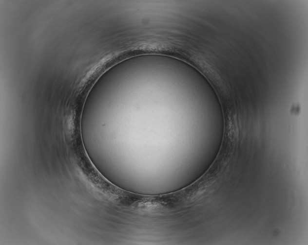 X0000115800208200911271258