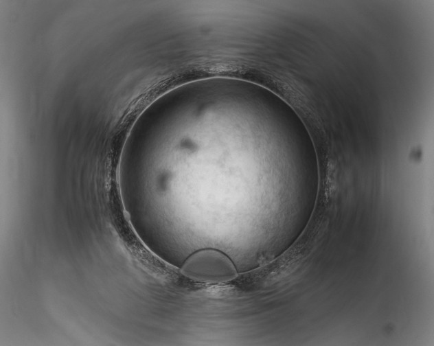 X0000115800210200911271258