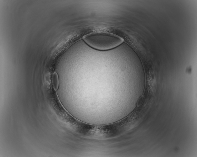 X0000115800211200911271258