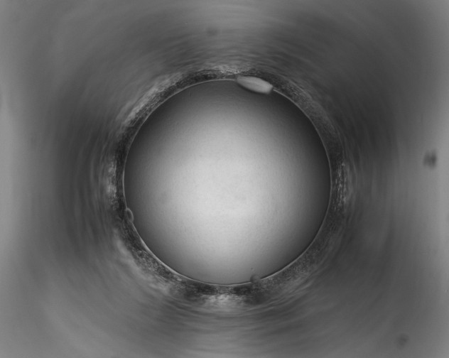 X0000115800212200911271258