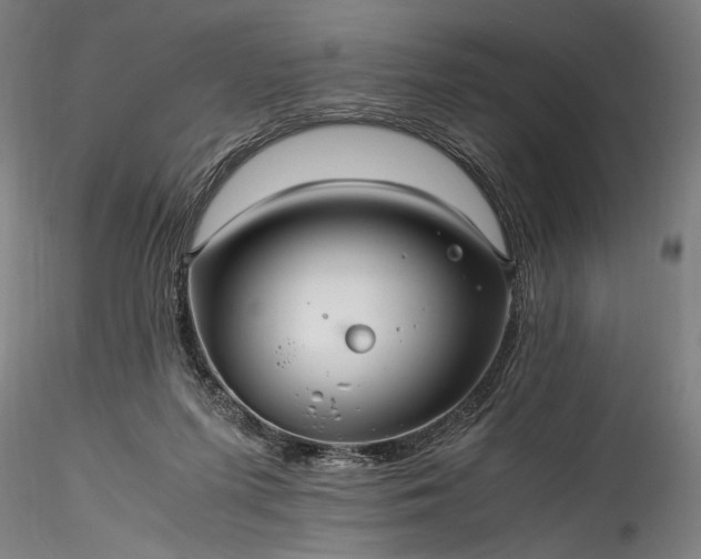 X0000115800215200911271258