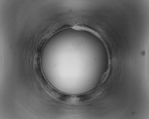 X0000115800217200911271258