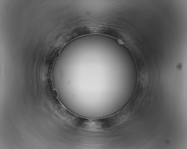 X0000115800221200911271258