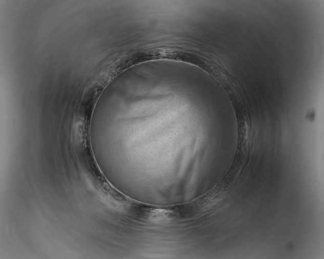 X0000115800222200911271258