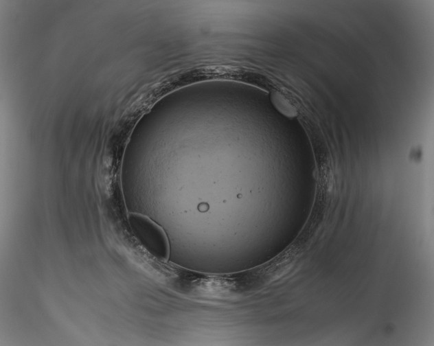 X0000115800223200911271258