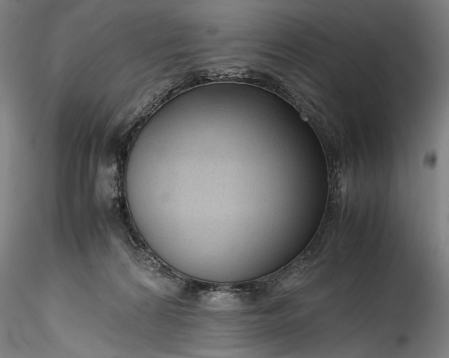 X0000115800224200911271258