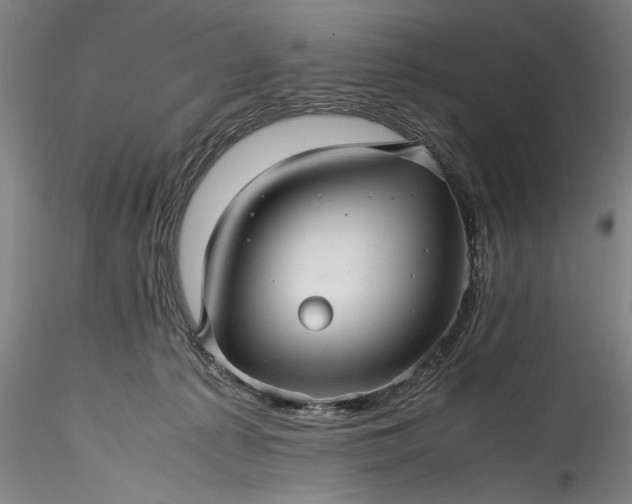 X0000115800225200911271258