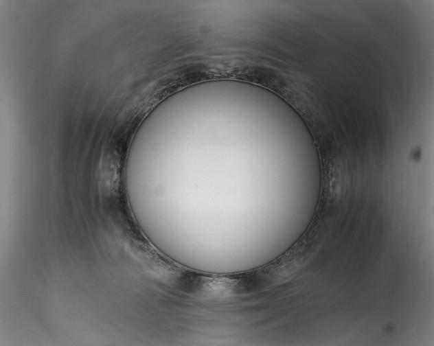 X0000115800226200911271258