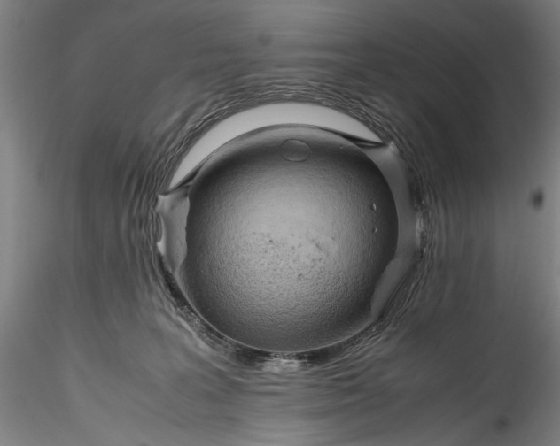 X0000115800227200911271258