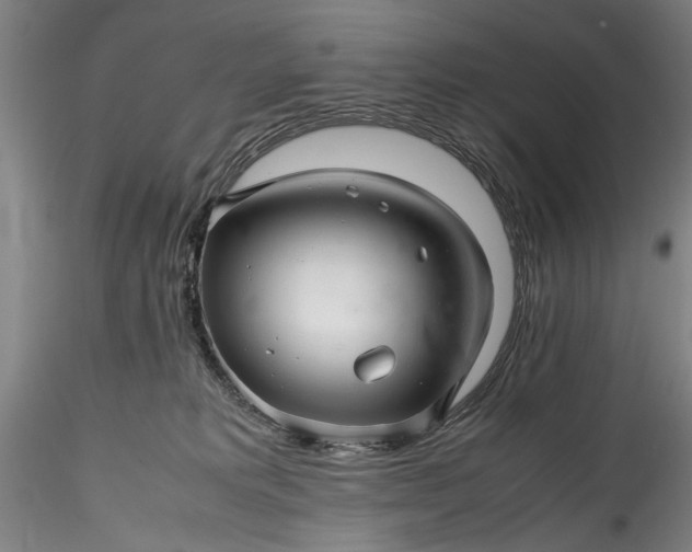 X0000115800229200911271258