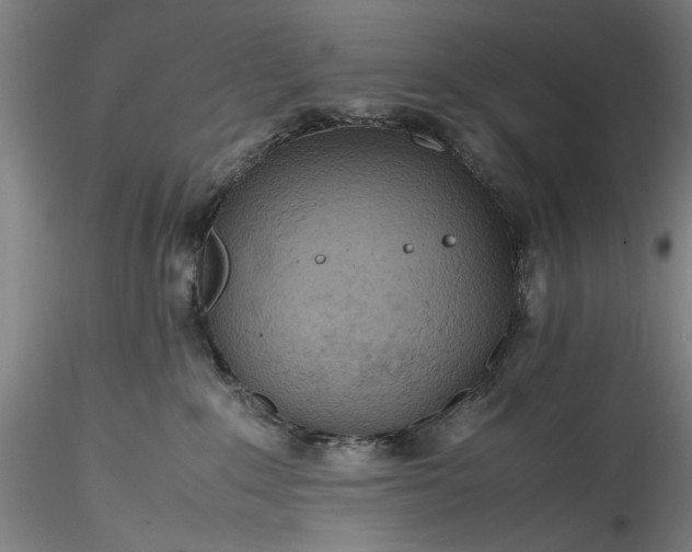 X0000115800235200911271258