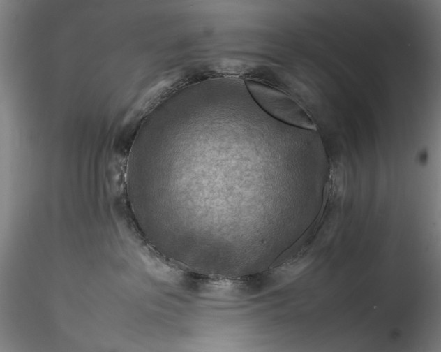 X0000115800237200911271258