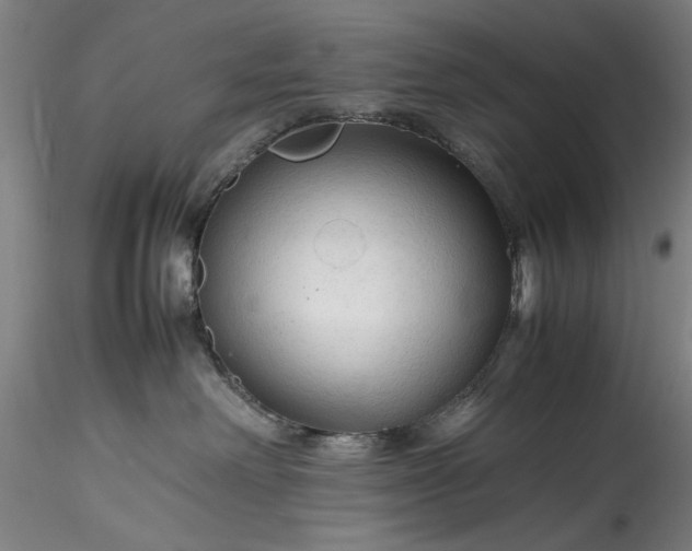 X0000115800238200911271258