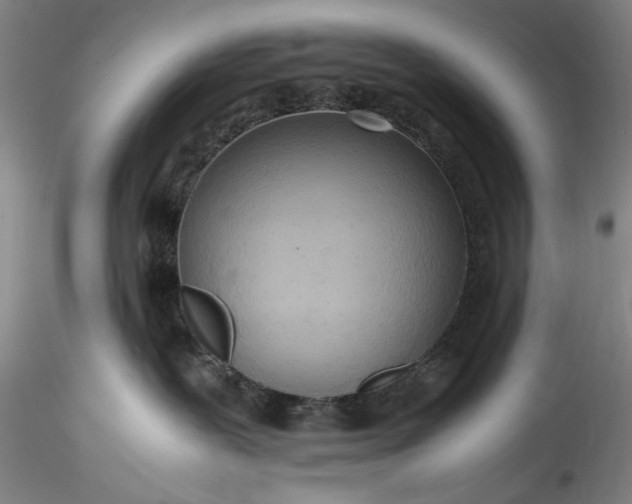 X0000115800239200911271258