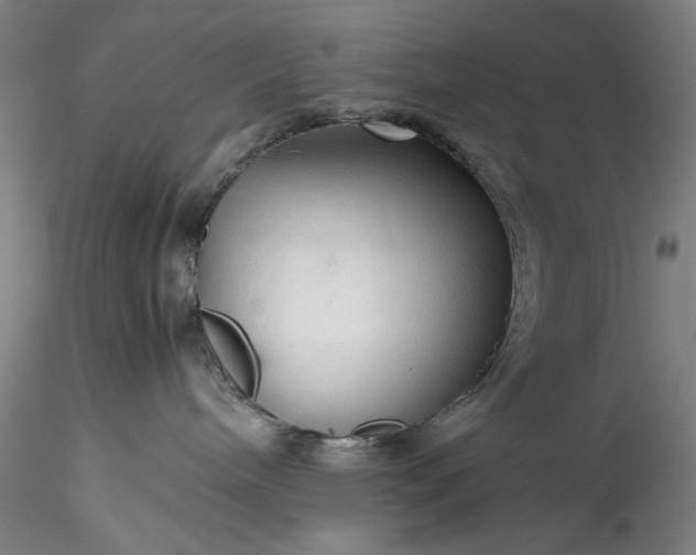 X0000115800240200911271258