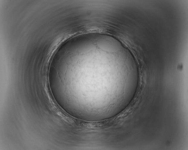 X0000115800241200911271257