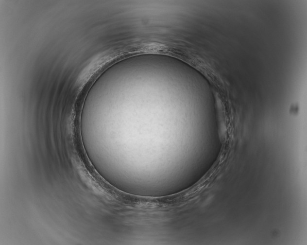 X0000115800242200911271257