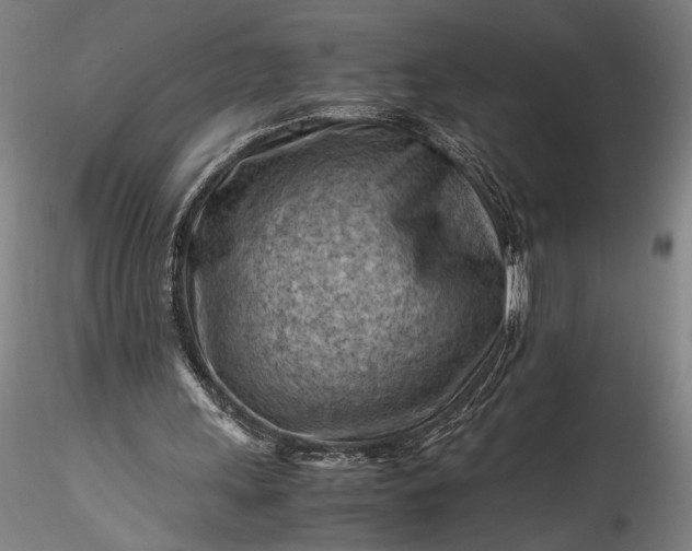 X0000115800243200911271257