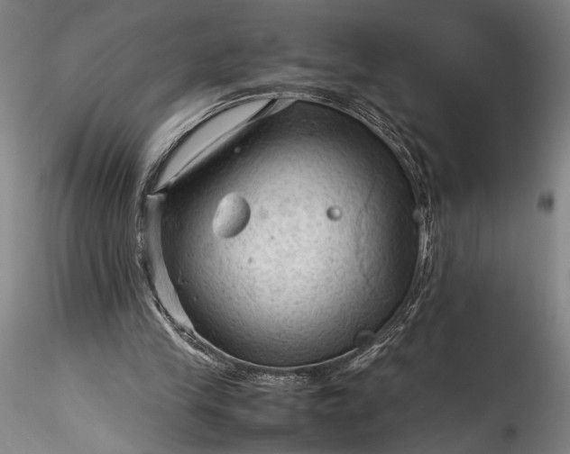 X0000115800245200911271257