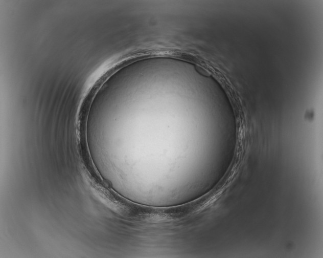 X0000115800246200911271257