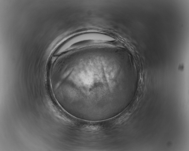 X0000115800247200911271257