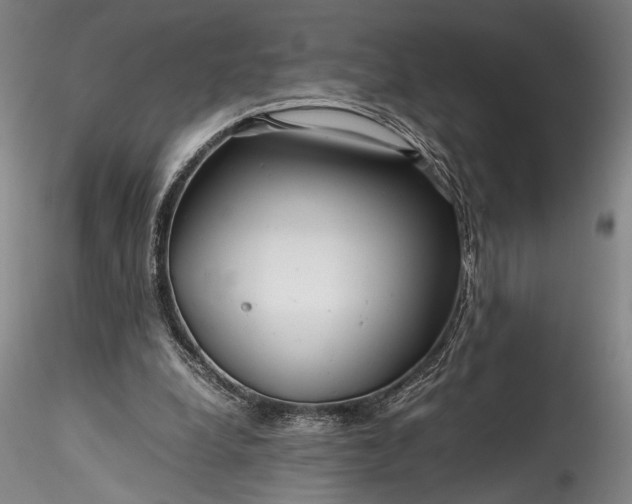 X0000115800248200911271257