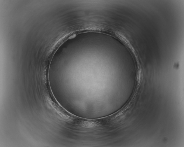 X0000115800249200911271257