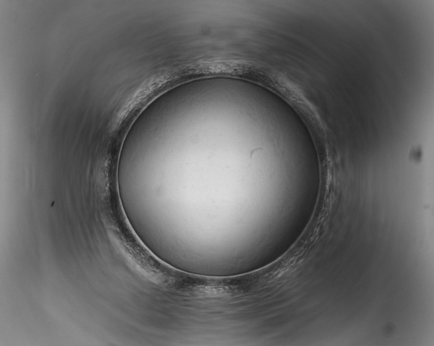 X0000115800250200911271257