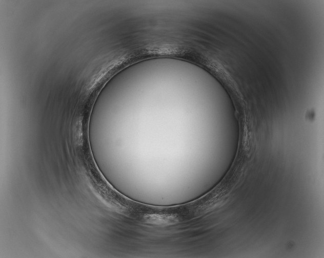 X0000115800251200911271257