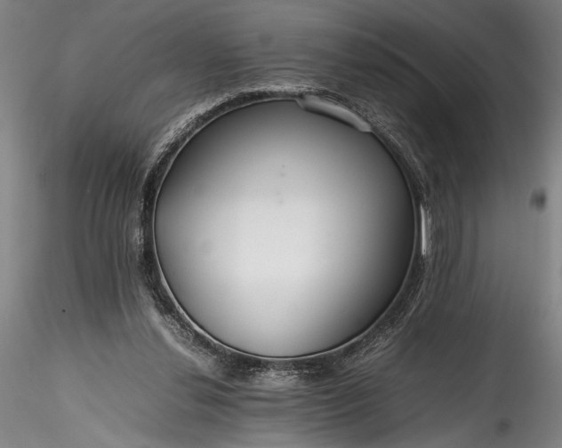 X0000115800252200911271257