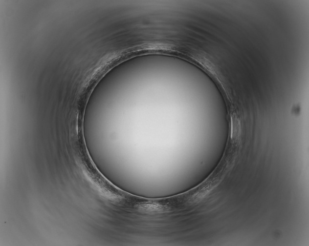 X0000115800253200911271257