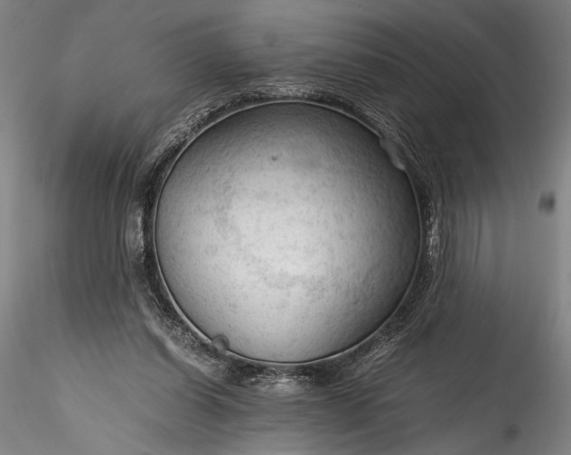 X0000115800254200911271257