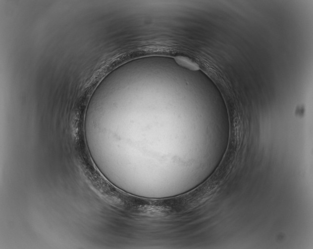 X0000115800255200911271257