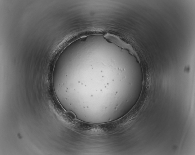 X0000115800256200911271257