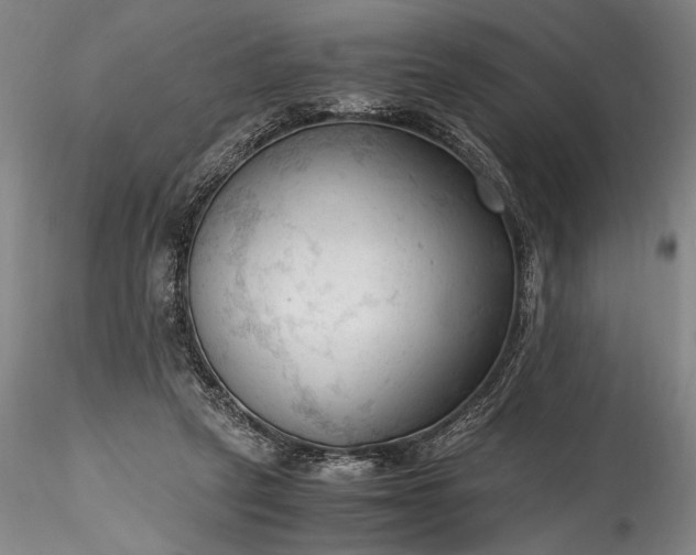 X0000115800257200911271257