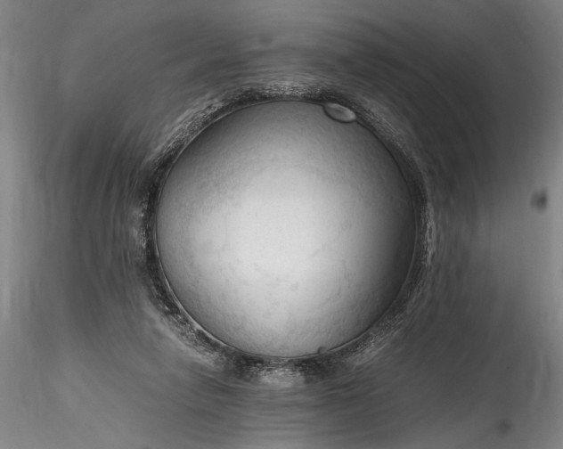 X0000115800258200911271257