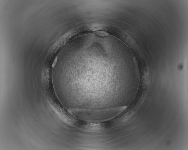 X0000115800260200911271257