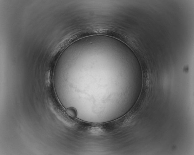 X0000115800262200911271257