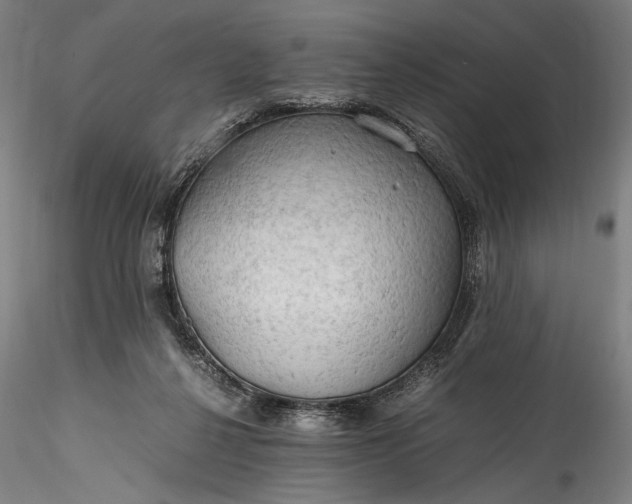 X0000115800264200911271257