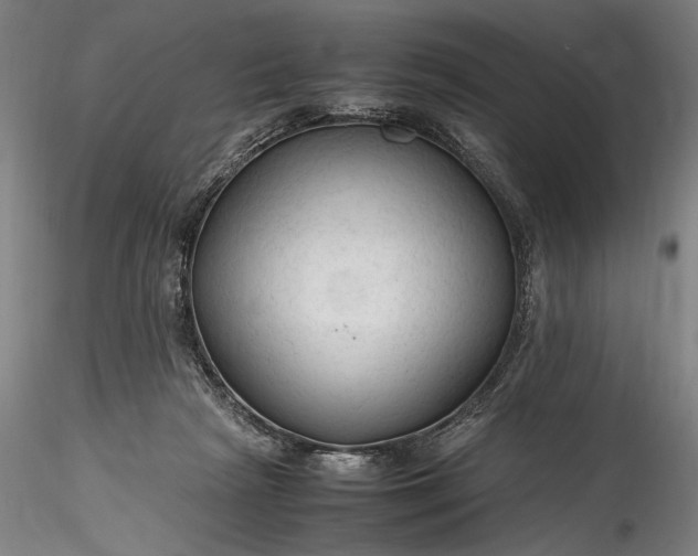 X0000115800265200911271257