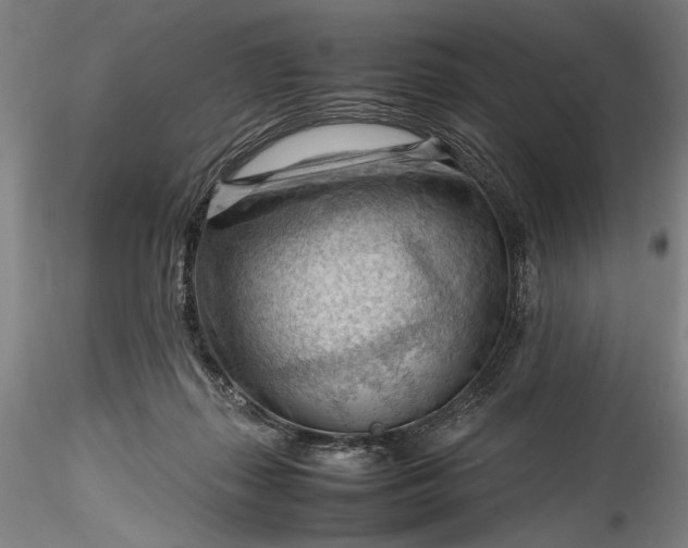 X0000115800267200911271257